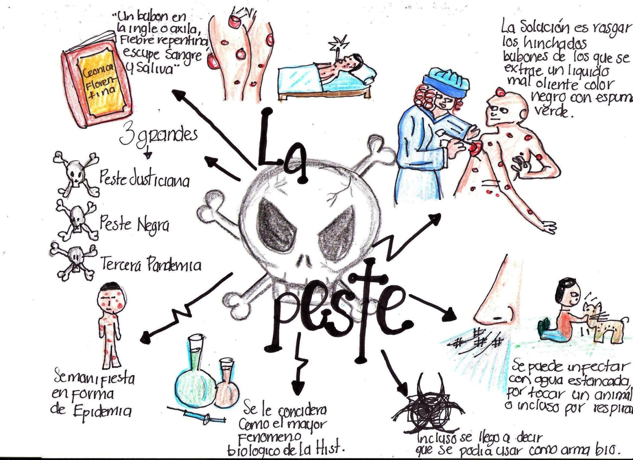 MAPA MENTAL SOBRE PESTE NEGRA - Maps4Study