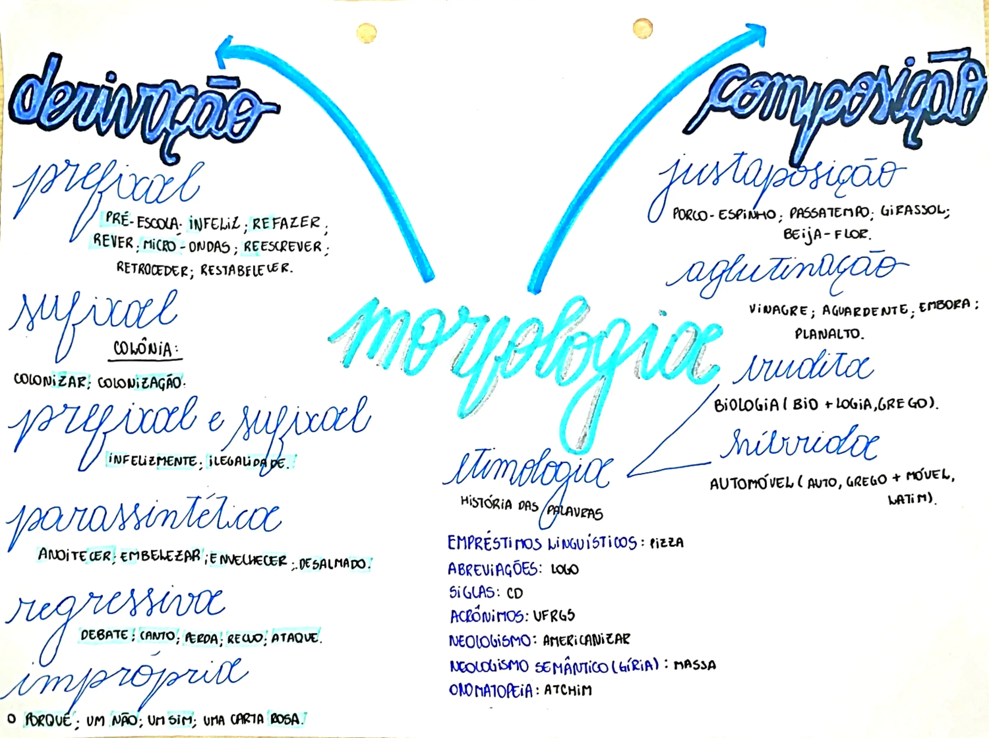 MAPA MENTAL SOBRE MORFOLOGIA