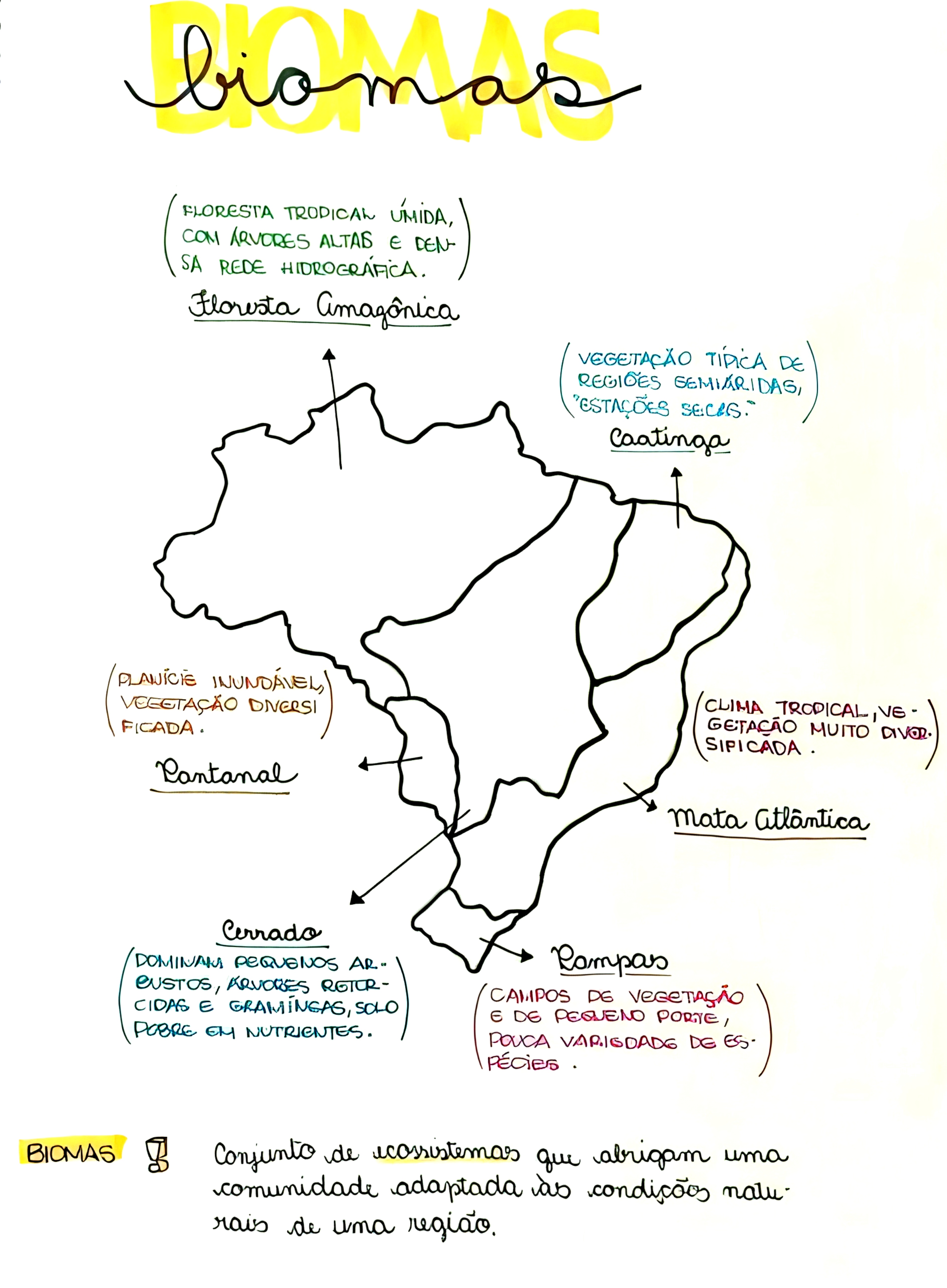 MAPA MENTAL SOBRE BIOMAS BRASILEIROS - Maps4Study