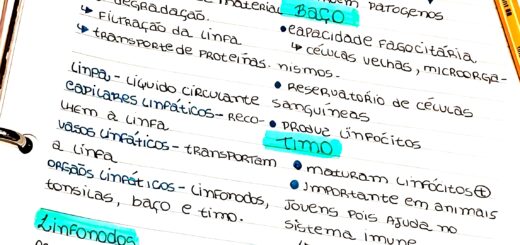 MAPA MENTAL SOBRE SISTEMA LINFÁTICO