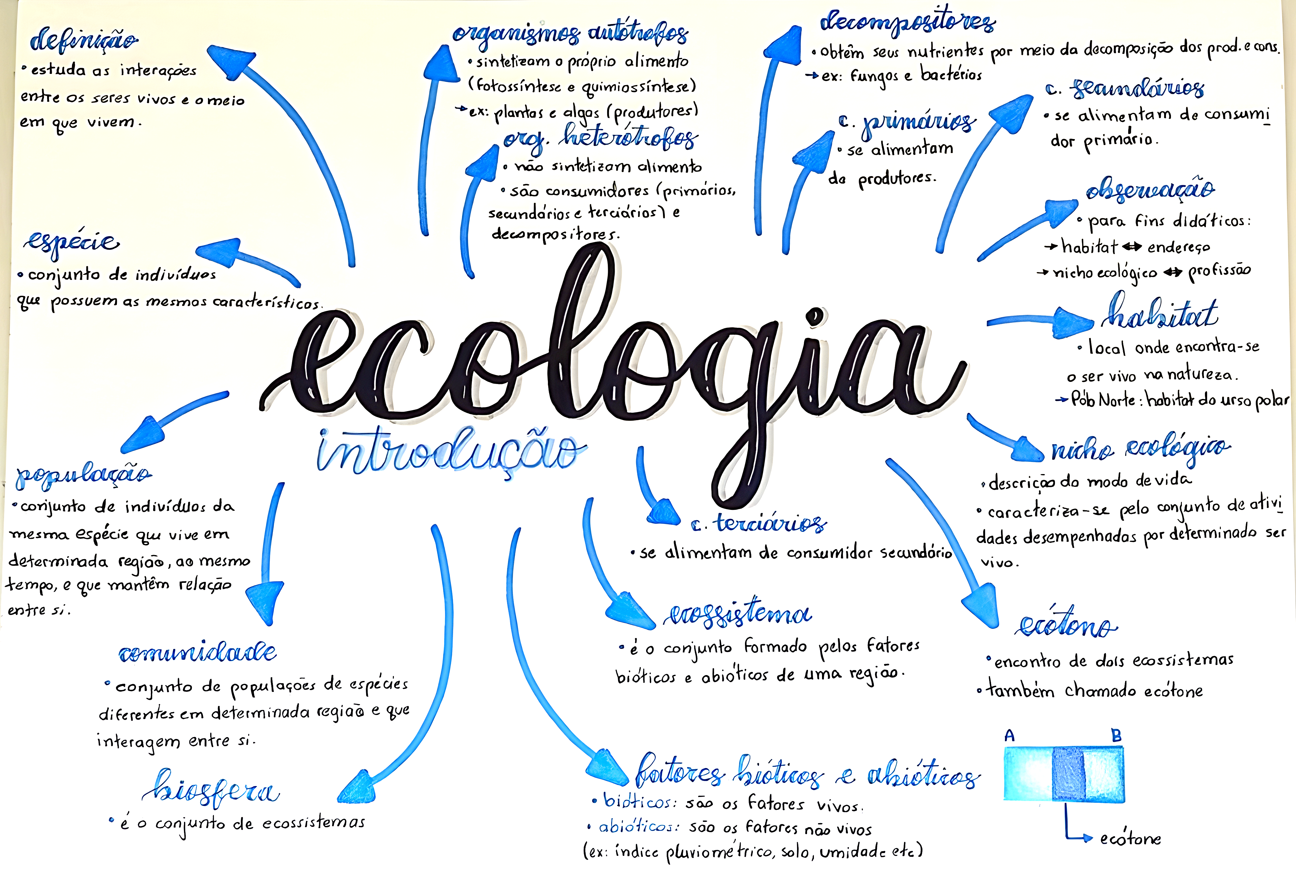 MAPA MENTAL SOBRE ECOLOGIA - Maps4Study