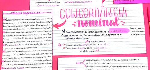 MAPA MENTAL SOBRE CONCORDÂNCIA NOMINAL