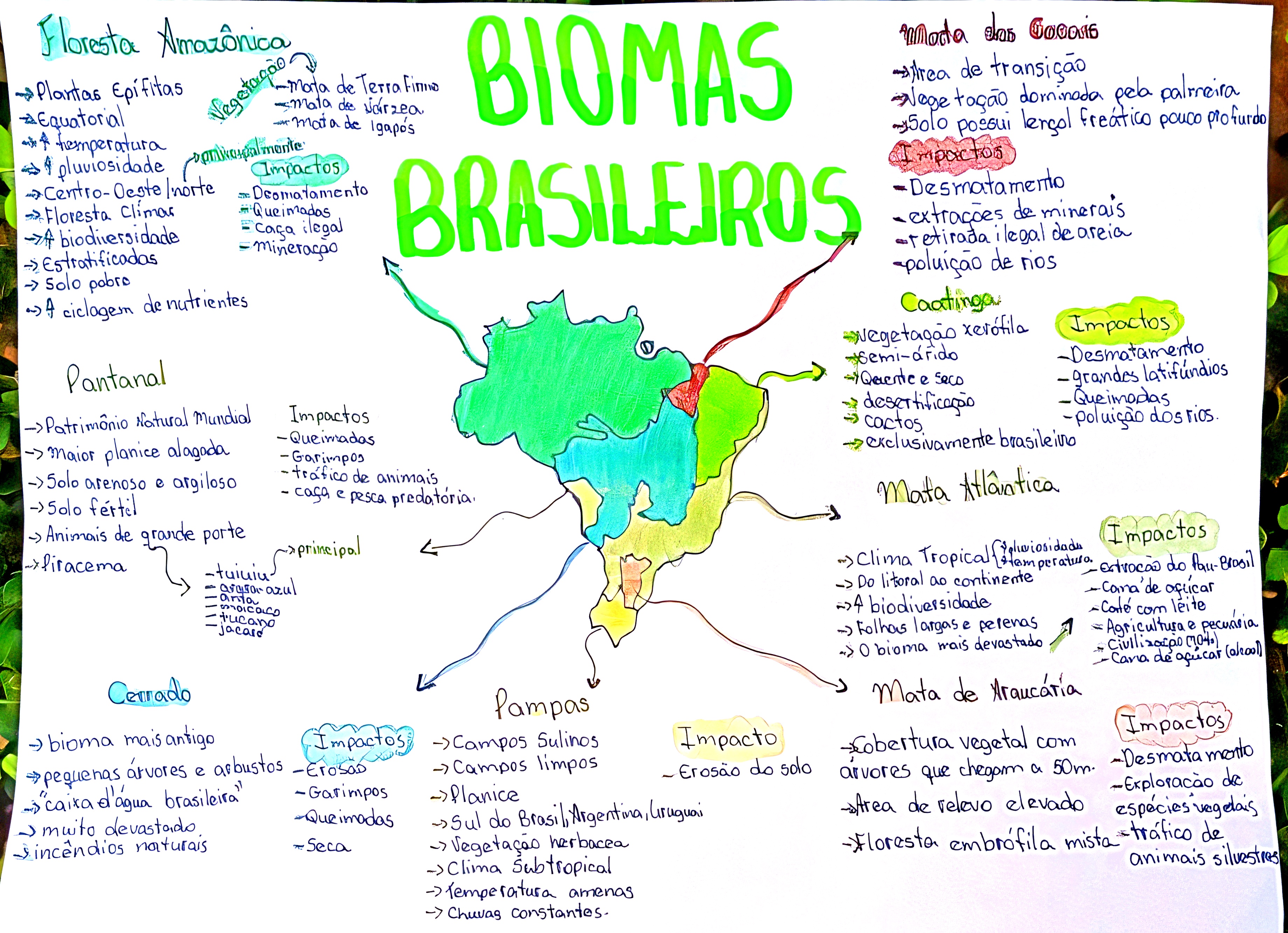 MAPA MENTAL SOBRE BIOMAS BRASILEIROS - Maps4Study