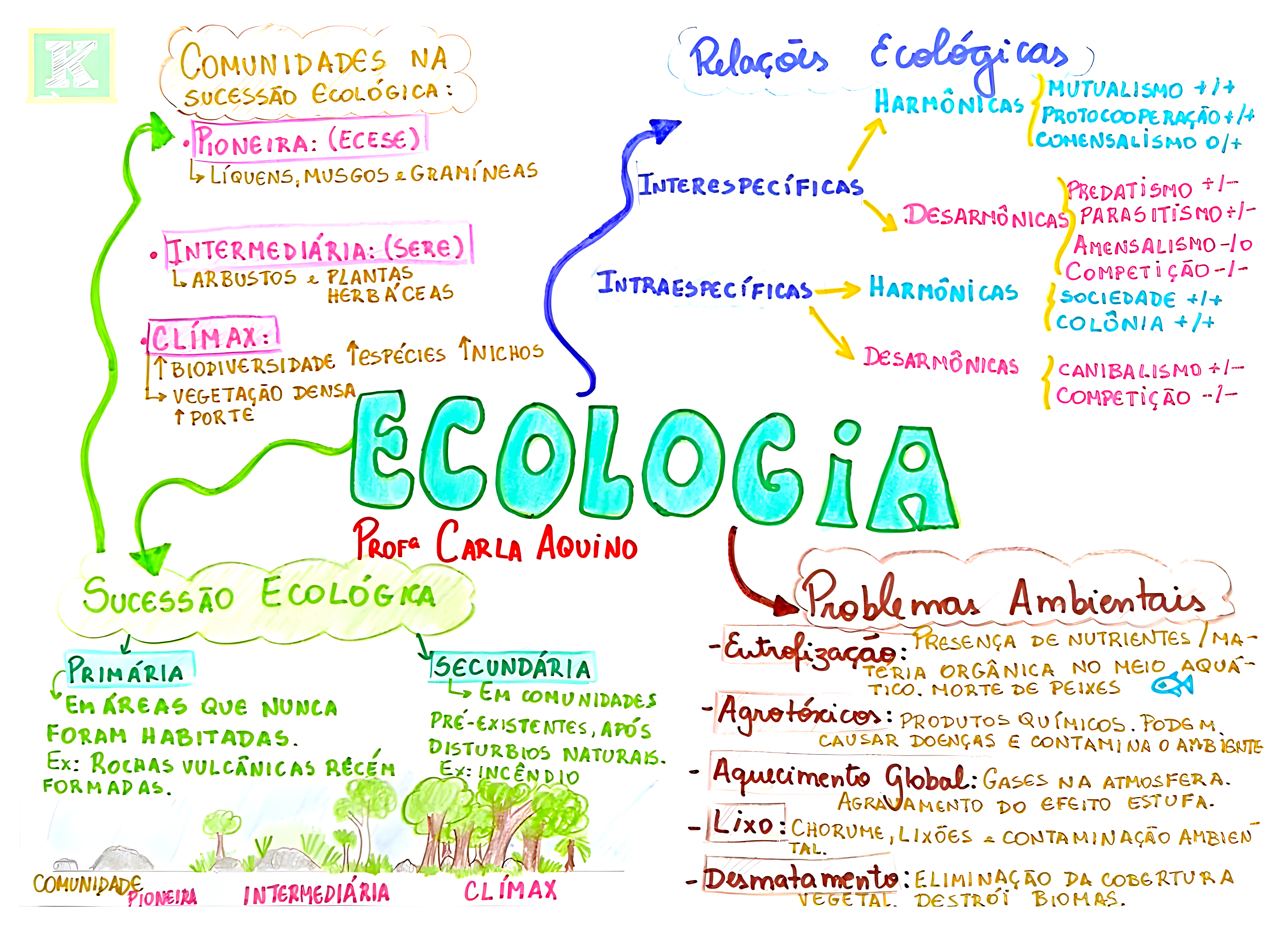 MAPA MENTAL SOBRE ECOLOGIA - Maps4Study