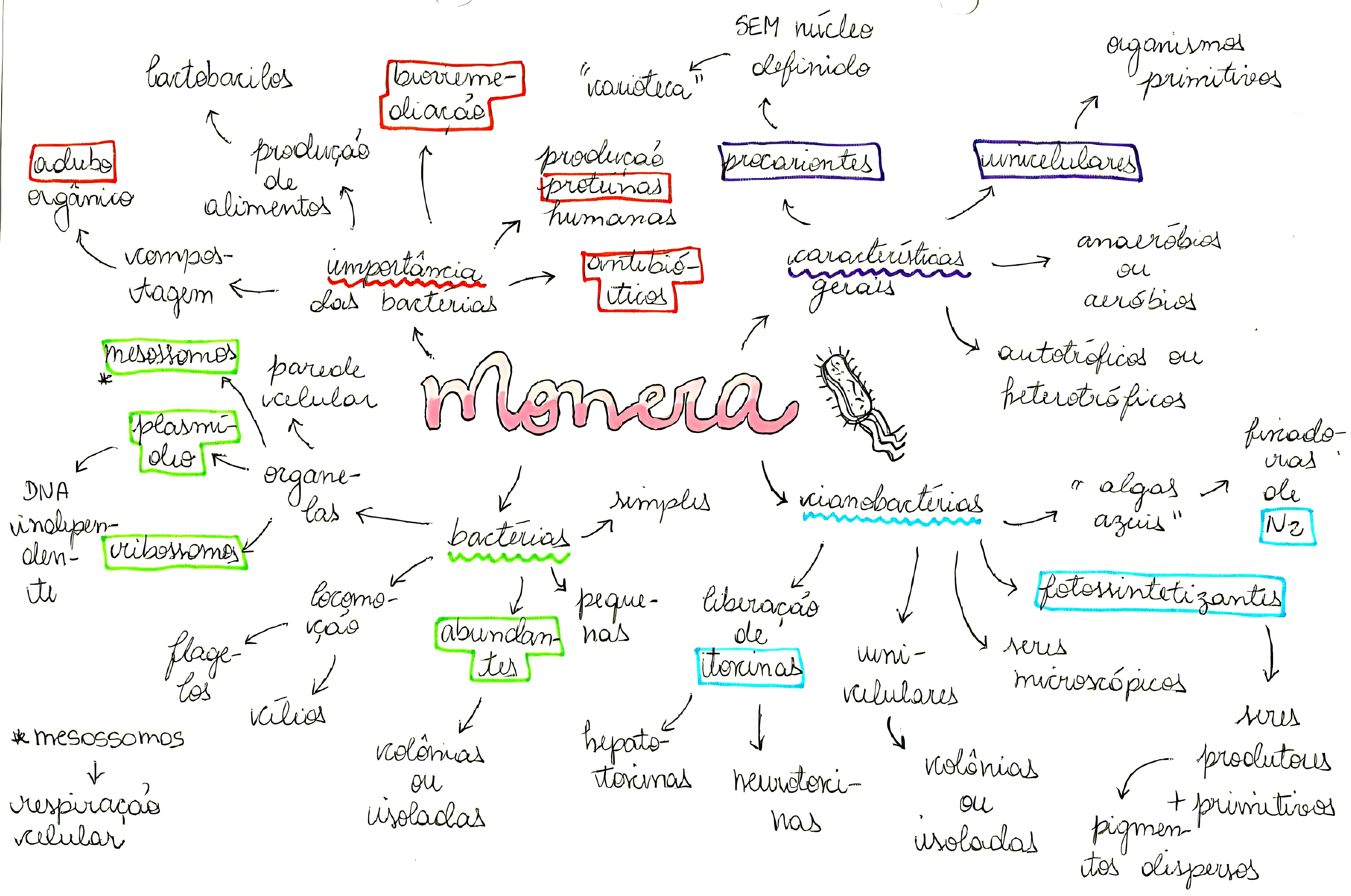 MAPA MENTAL SOBRE REINO MONERA - Maps4Study