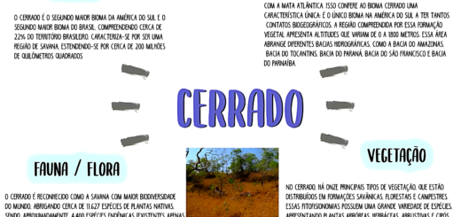 MAPA MENTAL SOBRE CERRADO
