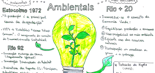 MAPA MENTAL SOBRE CONFERÊNCIAS AMBIENTAIS