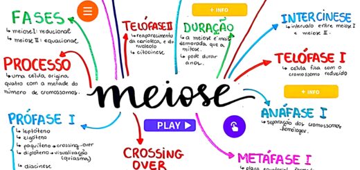 MAPA MENTAL SOBRE MEIOSE
