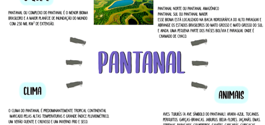 MAPA MENTAL SOBRE PANTANAL