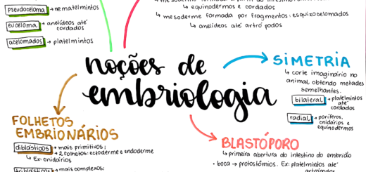 MAPA MENTAL SOBRE EMBRIOLOGIA
