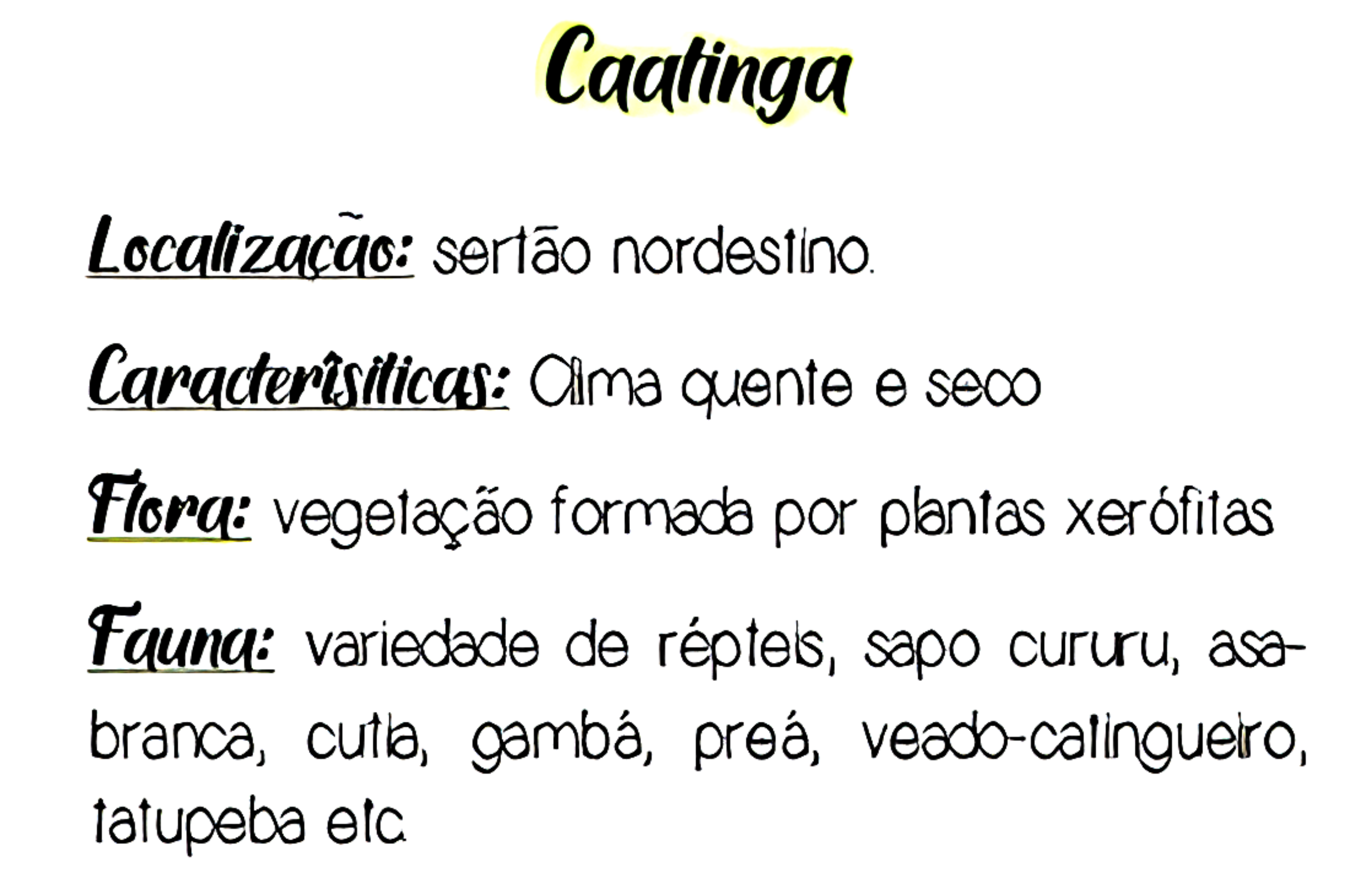 MAPA MENTAL SOBRE CAATINGA - Maps4Study