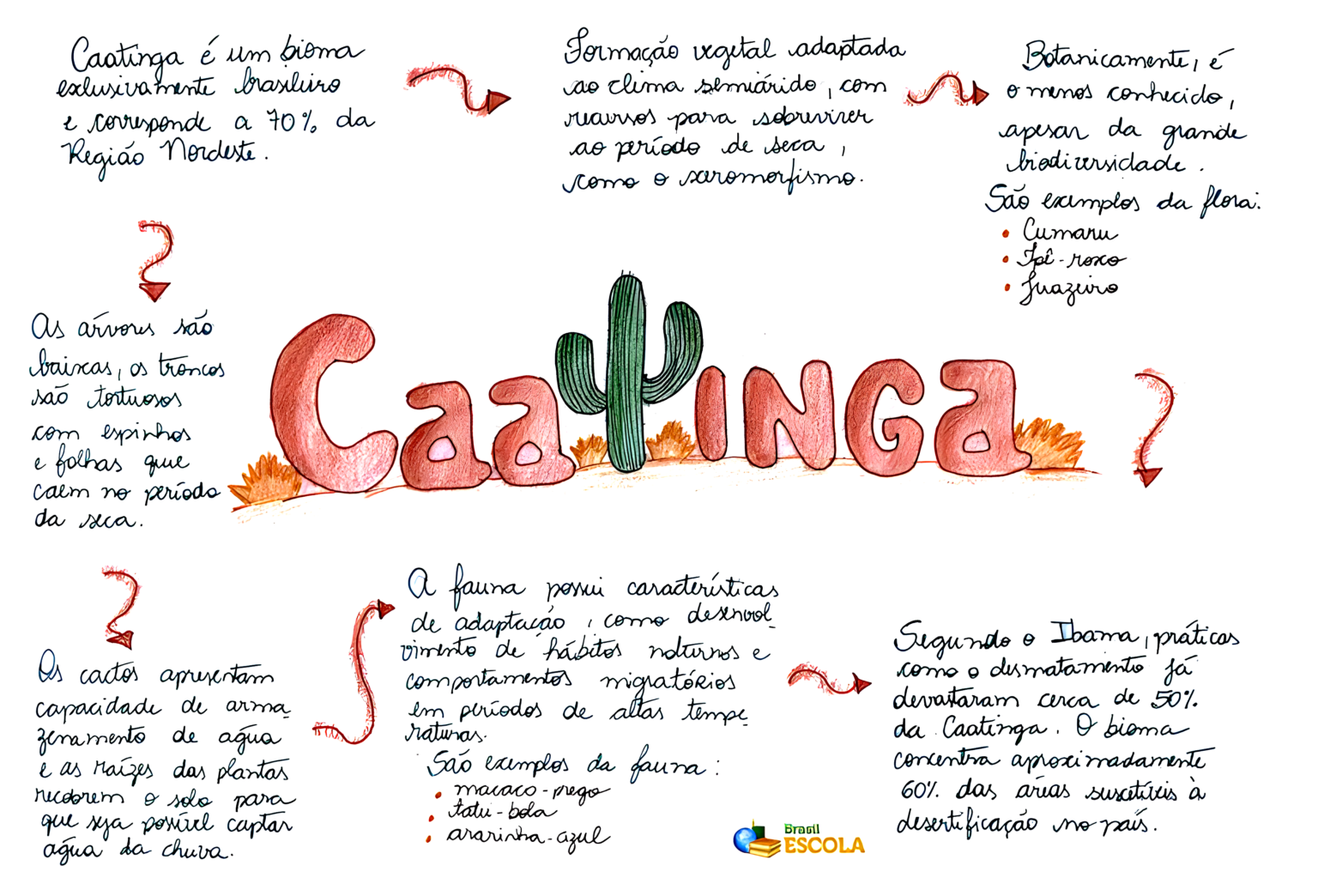 MAPA MENTAL SOBRE CAATINGA - Maps4Study