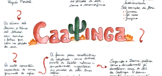 MAPA MENTAL SOBRE CAATINGA