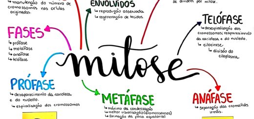 MAPA MENTAL SOBRE MITOSE