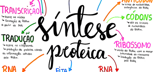 MAPA MENTAL SOBRE SÍNTESE PROTEICA