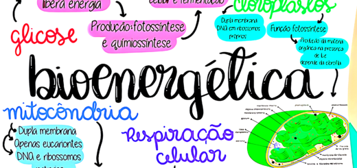 MAPA MENTAL SOBRE BIOENERGÉTICA