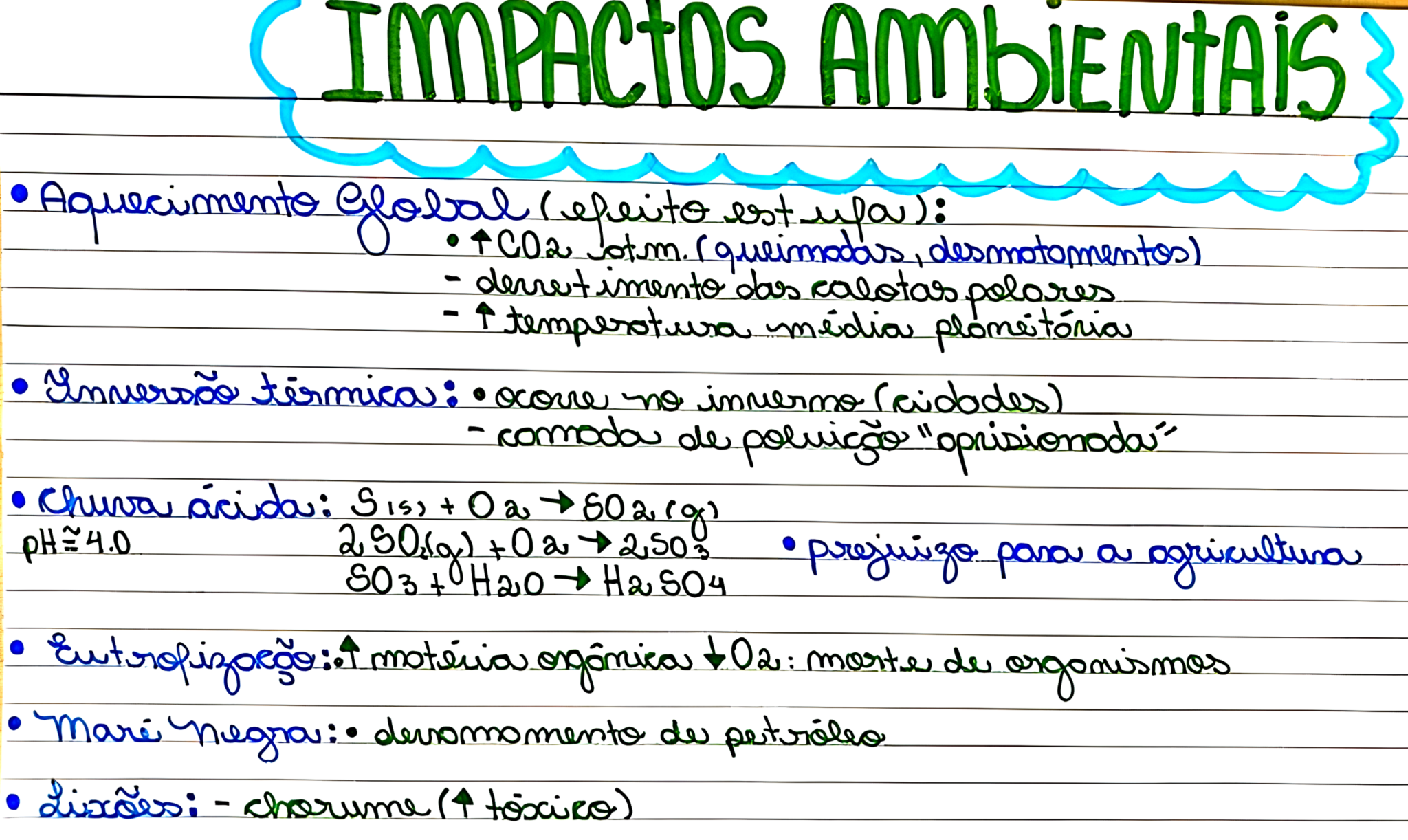 MAPA MENTAL SOBRE IMPACTOS AMBIENTAIS - Maps4Study