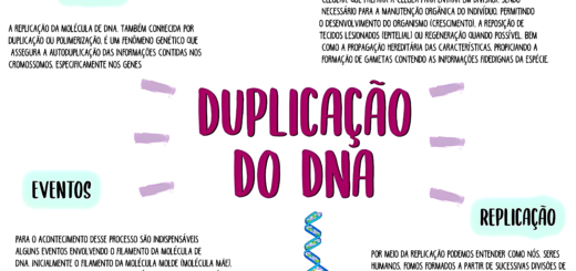 MAPA MENTAL SOBRE REPLICAÇÃO DO DNA