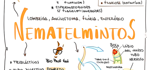 MAPA MENTAL SOBRE NEMATELMINTOS