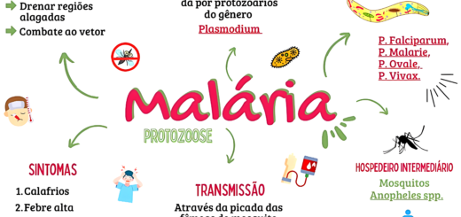 MAPA MENTAL SOBRE MALÁRIA