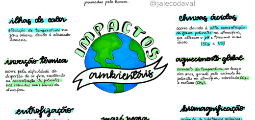 MAPA MENTAL SOBRE IMPACTOS AMBIENTAIS