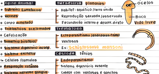 MAPA MENTAL SOBRE PLATELMINTOS