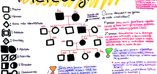 MAPA MENTAL SOBRE HEREDOGRAMAS