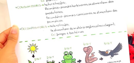 MAPA MENTAL SOBRE CADEIA ALIMENTAR