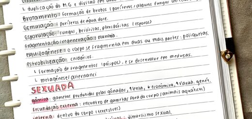 MAPA MENTAL SOBRE REPRODUÇÃO