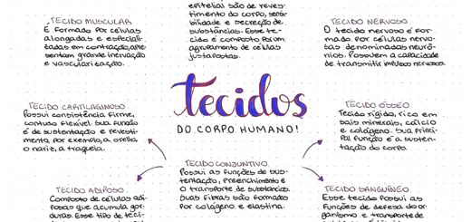 MAPA MENTAL SOBRE TECIDOS DO CORPO HUMANO