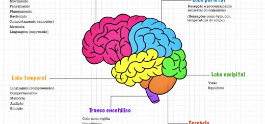 MAPA MENTAL SOBRE FUNÇÕES DO CÉREBRO