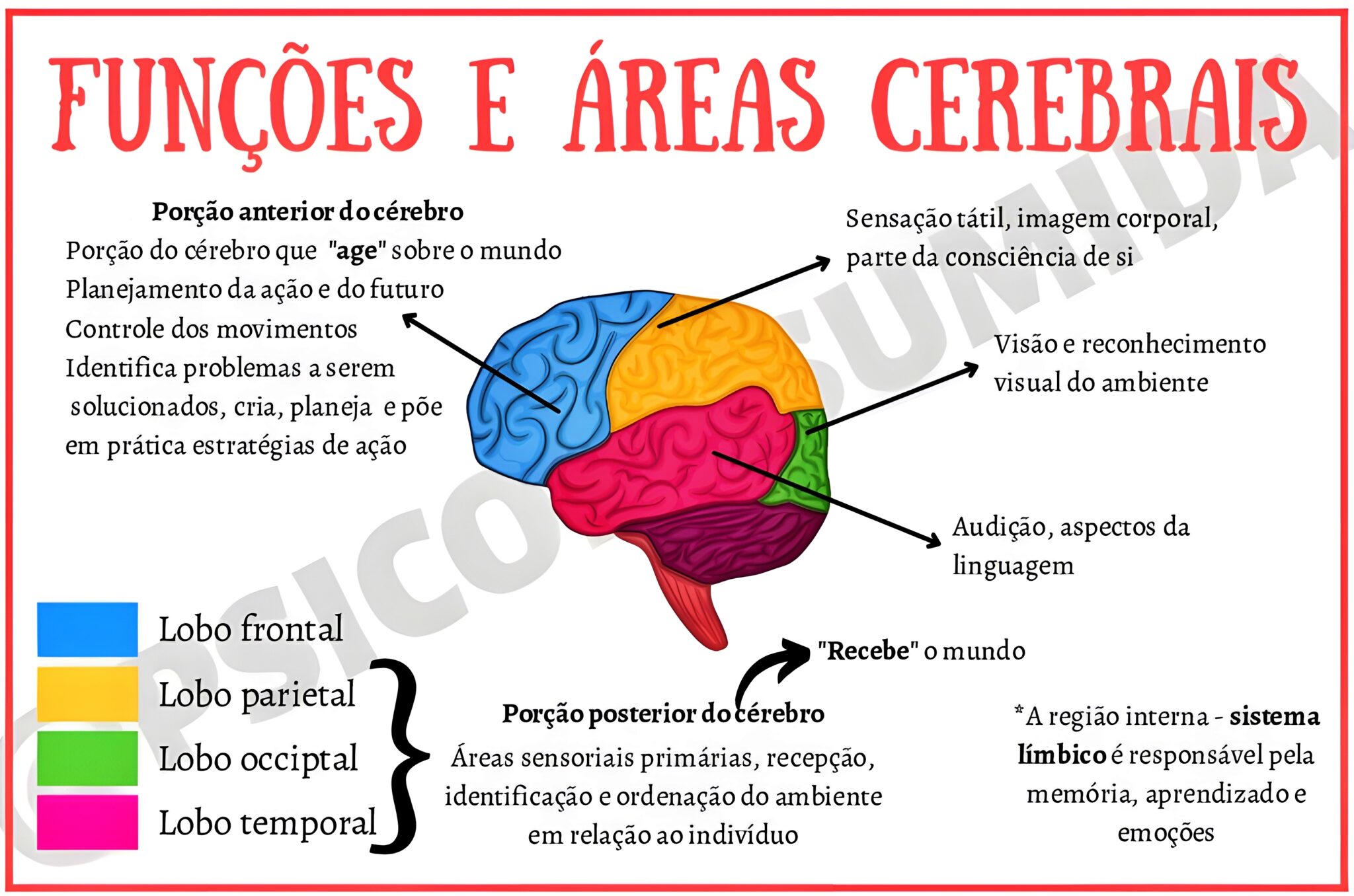 MAPA MENTAL SOBRE FUNÇÕES DO CÉREBRO - Maps4Study
