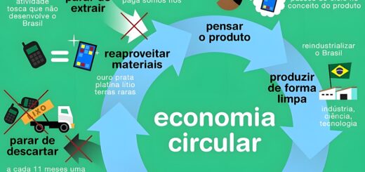 MAPA MENTAL SOBRE ECONOMIA CIRCULAR