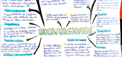 MAPA MENTAL SOBRE BIODIVERSIDADE