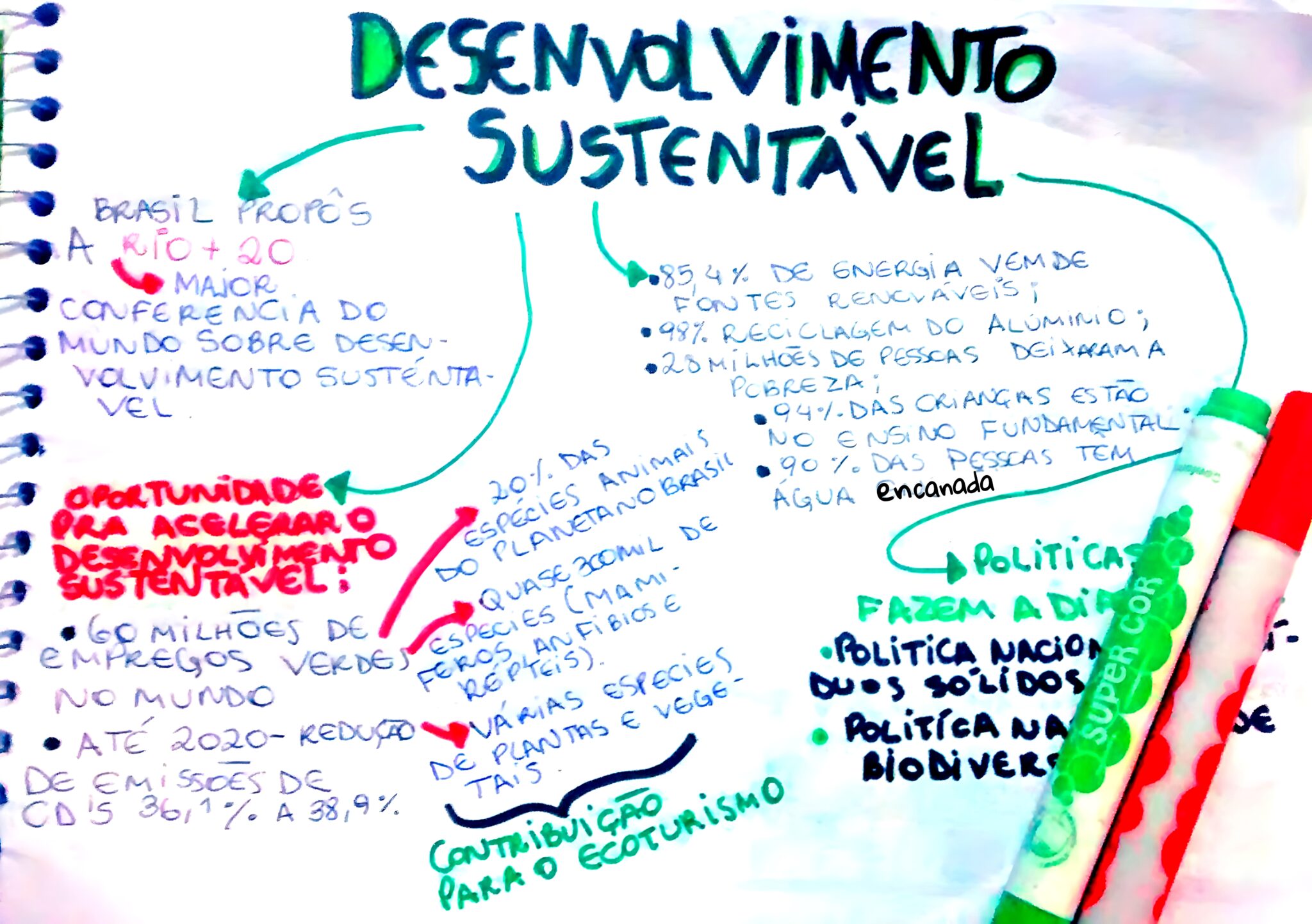 MAPA MENTAL SOBRE SUSTENTABILIDADE - Maps4Study