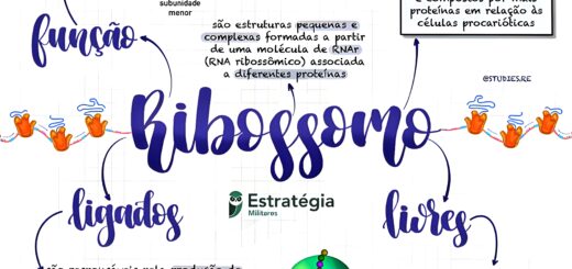 MAPA MENTAL SOBRE RIBOSSOMOS
