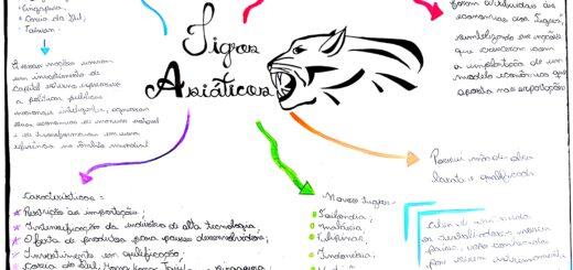 MAPA MENTAL SOBRE TIGRES ASIÁTICOS