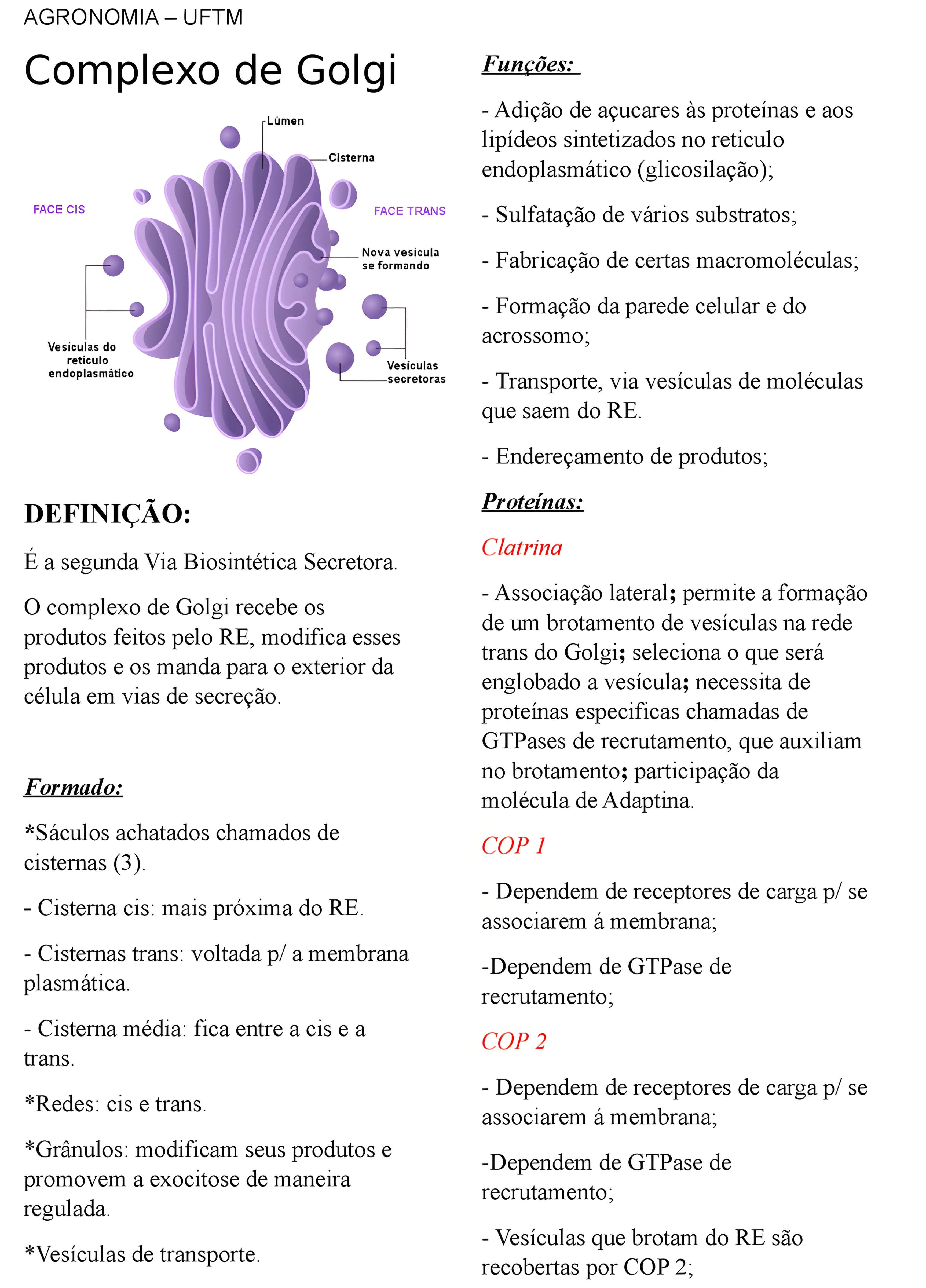MAPA MENTAL SOBRE COMPLEXO DE GOLGI