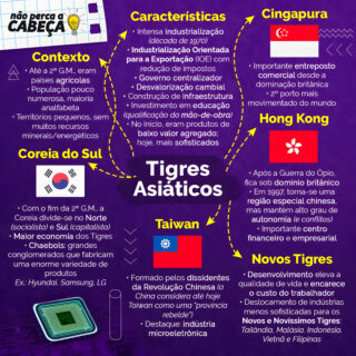 MAPA MENTAL SOBRE TIGRES ASIÁTICOS - Maps4Study