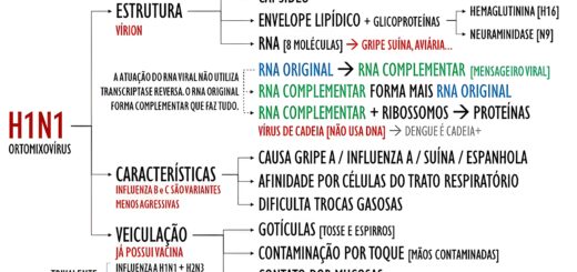 MAPA MENTAL SOBRE INFLUENZA/H1N1 (GRIPE)