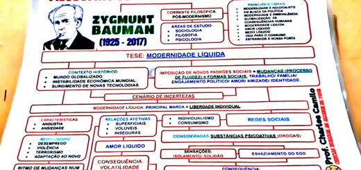 MAPA MENTAL SOBRE ZYGMUNT BAUMAN