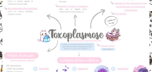 MAPA MENTAL SOBRE TOXOPLASMOSE
