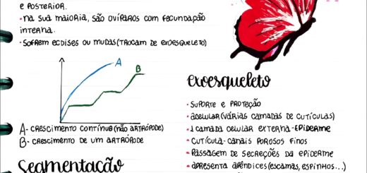 MAPA MENTAL SOBRE ARTRÓPODES