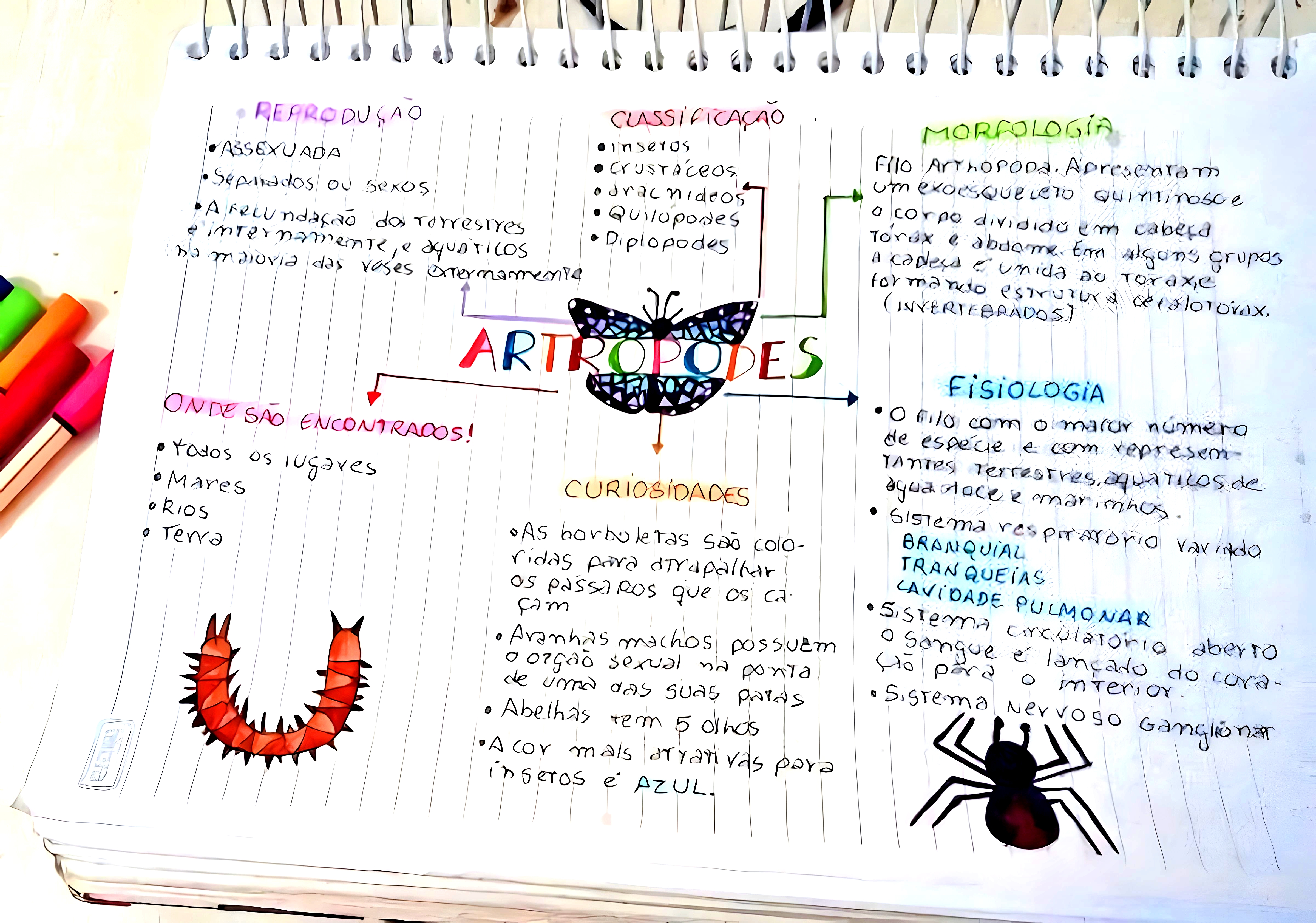 MAPA MENTAL SOBRE ARTRÓPODES