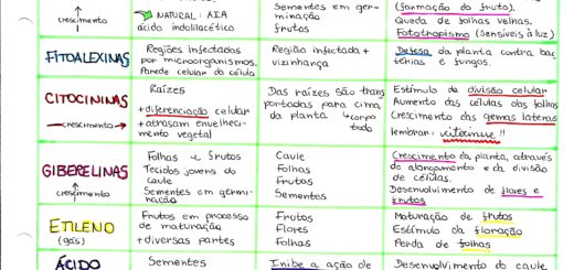MAPA MENTAL SOBRE HORMÔNIOS VEGETAIS