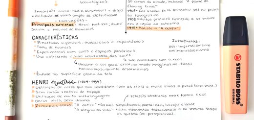 MAPA MENTAL SOBRE FAUVISMO