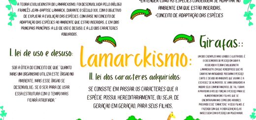 MAPA MENTAL SOBRE LAMARCKISMO