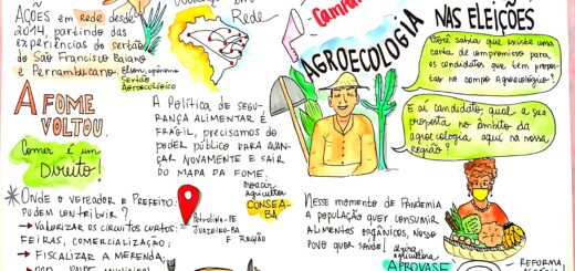 MAPA MENTAL SOBRE AGROECOLOGIA