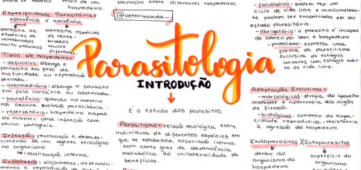 MAPA MENTAL SOBRE PARASITOLOGIA