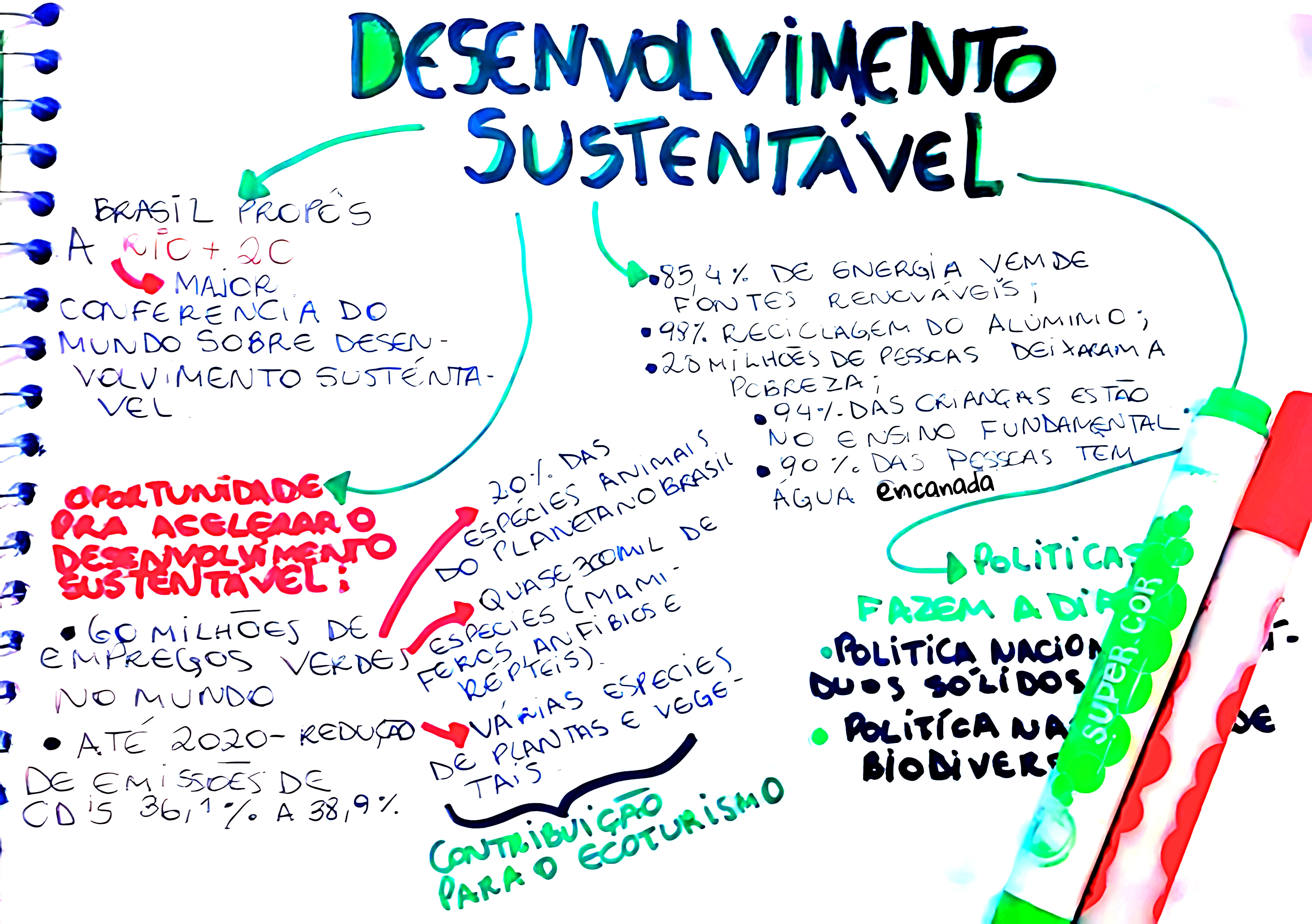 MAPA MENTAL SOBRE DESENVOLVIMENTO SUSTENTÁVEL